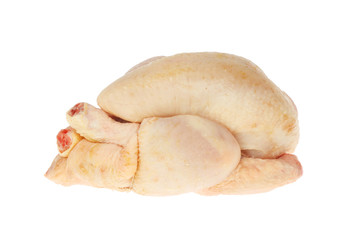 Raw poussin isolated