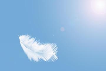 Abstract white feather falling in the sky