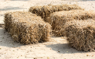 thatch