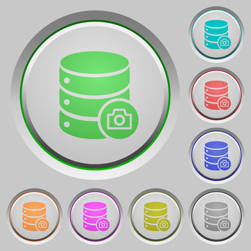 Database snapshot push buttons