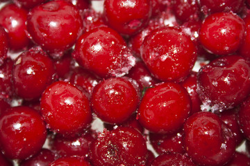 cherry isolated on white background