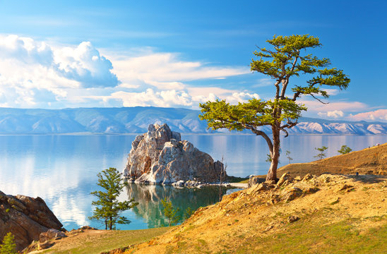 Baikal Lake. Olkhon Island. Beautiful old larch and Shamanka Rock on June afternoon