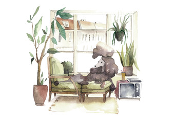 Poodle in living room