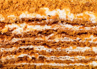 Texture layer of sweet classic homemade layered Honey Medovik cake for background, close-up
