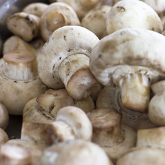 Peeled raw mushrooms champignons close-up. Selective focus