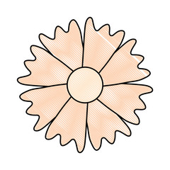 beautiful flower icon