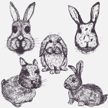 Set of Easter rabbits. Hand drawn sketch elements
