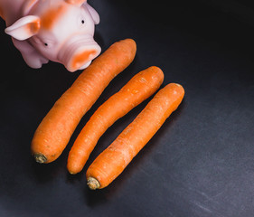 Carrots on a black background