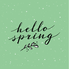 Hello Spring. Hand drawn calligraphy and brush pen lettering. design for holiday greeting and seasonal spring holiday card. Green pastel background