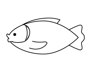 fish icon image
