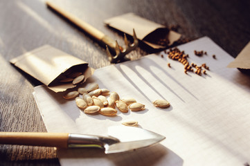 spring garden preparation for sowing vegetable seeds and planning. Pumpkin, coriander with labels,...