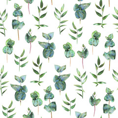 Seamless floral pattern with green eucalyptus and leaves of ruscus on white. Spring flowers. Botanical natural background drawn by hand with colored pencil