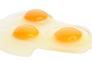 Egg Yolks and Whites on White Background