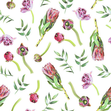 Seamless floral pattern with red protea, tulip, buttercup and green leaves of ruscus on white. Spring flowers. Botanical natural background drawn by hand with colored pencil