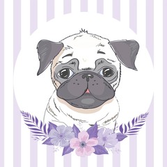 English bulldog isolated on white background. Cute gray outline bulldog icon, element for new year of dog 2018 design. The silhouette of the dog breed English Bulldog.