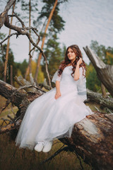 Fototapeta premium beautiful bride in white dress sitting on a tree