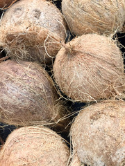 Coconuts at grocery store