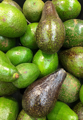 Avocados at grocery store