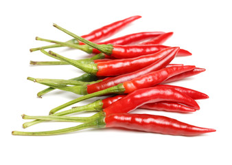 log isolated on a white background