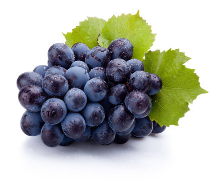 Blue grapes wet with leaves isolated on white background