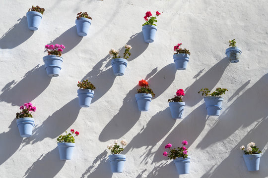 Bunte Blumen in blauen Blumentöpfen an einer weißen Wand in Marbella