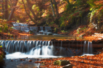 Fototapeta na wymiar Amazing autumn scenery with yellow leaves above stream of mountain waterfall. Beautiful nature background.