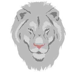 Portrait of a lion. Can be used for printing on T-shirts, flyers and stuff. Vector illustration