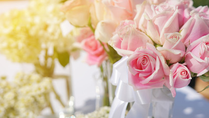 roses for background. pastel color style