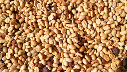 Coffee beans drying in the sun.