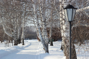 winter