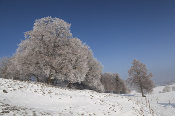 Winterlandschaft Bayern
