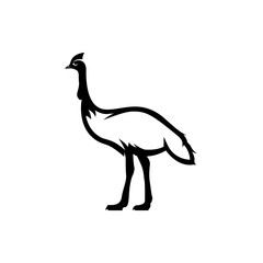 cassowary vector silhouette