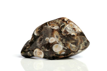 Set Rock stone with names, isolated on a white background with shadow,  beautiful lighting, reflections. Turtle Jasper. © StarlingRu