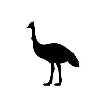 recommend clip art: cassowary vector silhouette