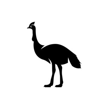 recommend clip art: cassowary vector silhouette