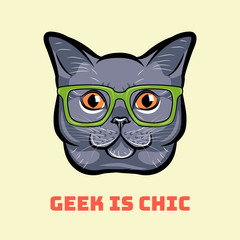 Muzzle of gray cat wearing in glasses. Cat geek. Vector illustration.