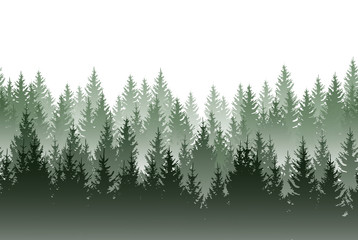 Vector misty green forest isolated on white background