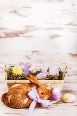 Easter gingerbread cookies and rabbit