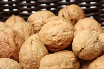 walnuts on white background 