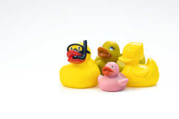 Group of toy ducks in isolated white background