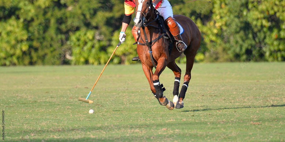 Wall mural Horse Polo player hit a polo ball