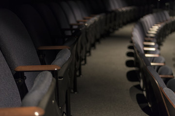 Rows of Theatre Auditorium Lecture Hall Chairs
