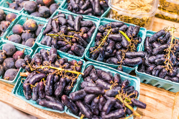 Closeup of many fresh purple juicy moon drop moondrop grapes in boxes on display in farmers market on wooden table by figs