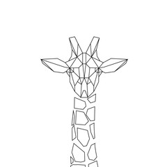 linear illustration - giraffe