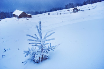The wooden house is winter