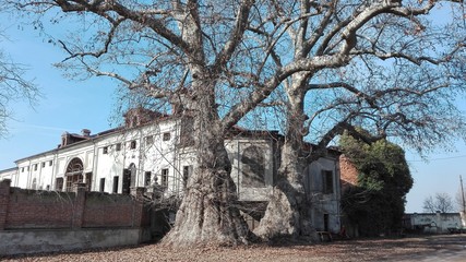 Fototapeta na wymiar Villa con alberi secolari