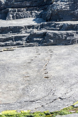 An der Küste von "Valentia Island" in Irland
