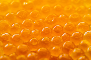 Red caviar studio photo. Healthy sea food. Orange or red luxury caviar as background