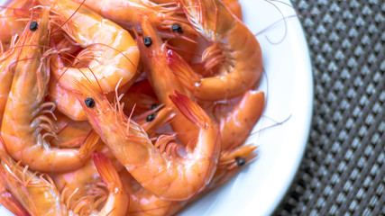 Seafood Shrimps on dish color white