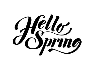 Hello Spring. Hand drawn calligraphy and brush pen lettering. design for holiday greeting card and invitation of seasonal spring holiday.